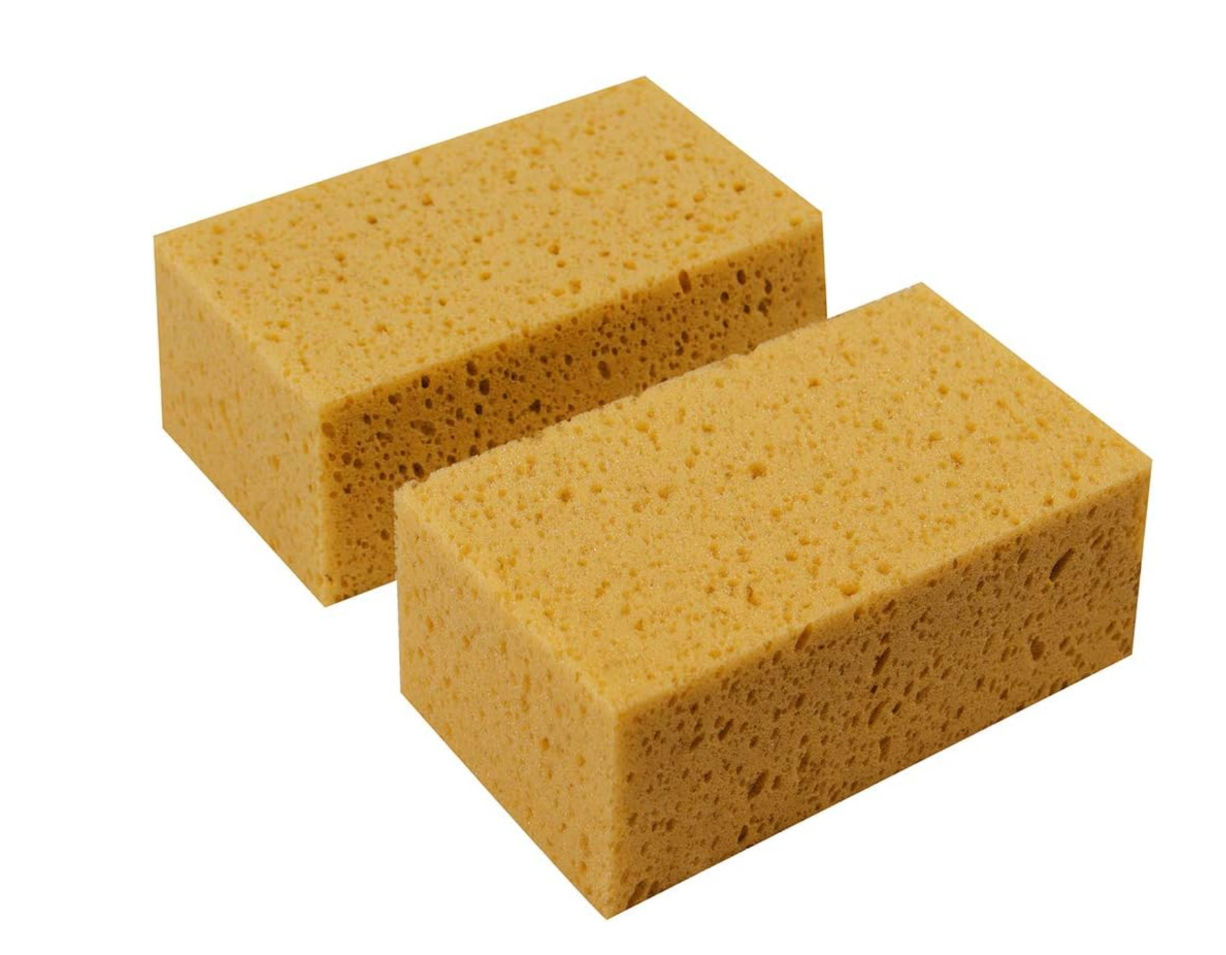 Schwamm